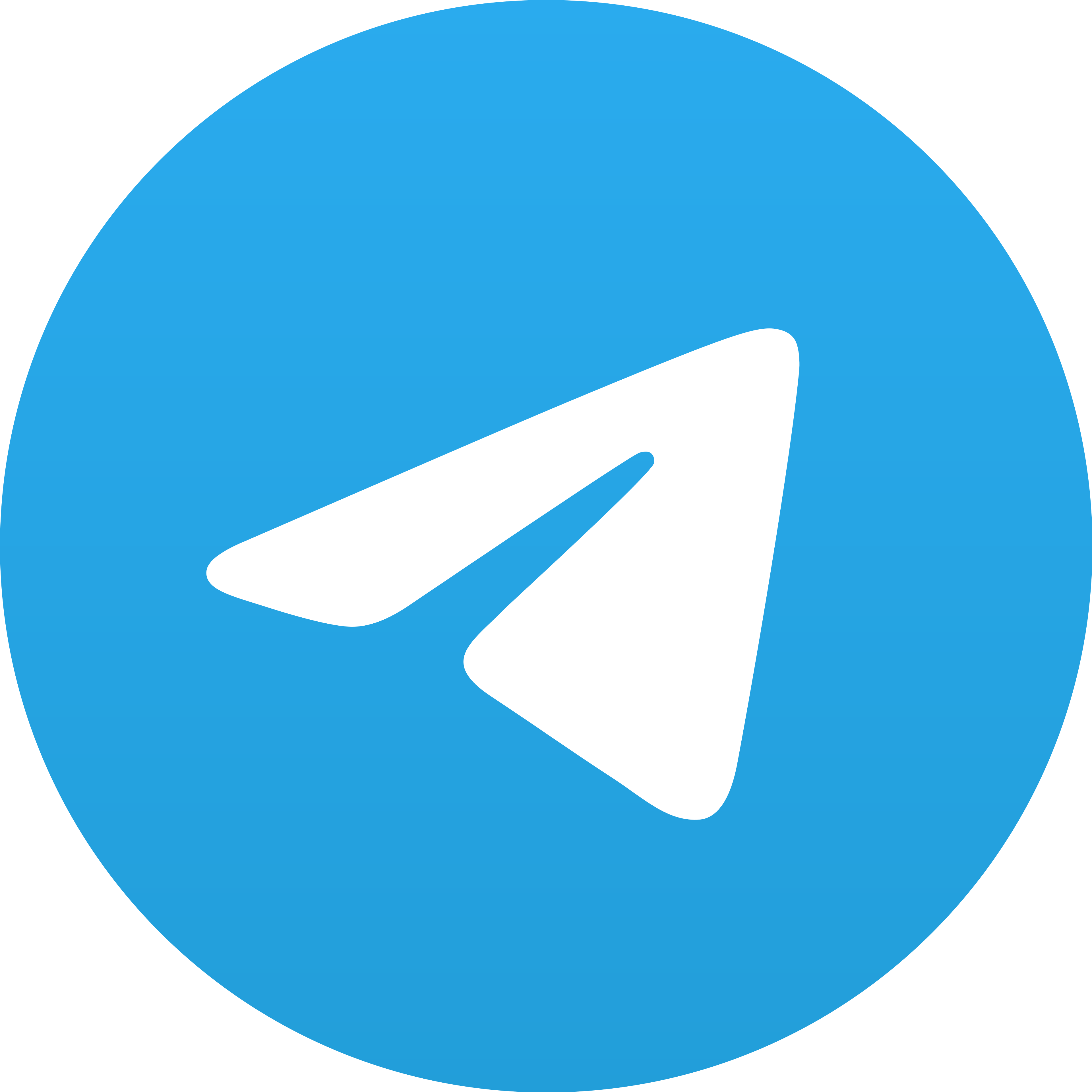 TELEGRAM RAJAMERAK